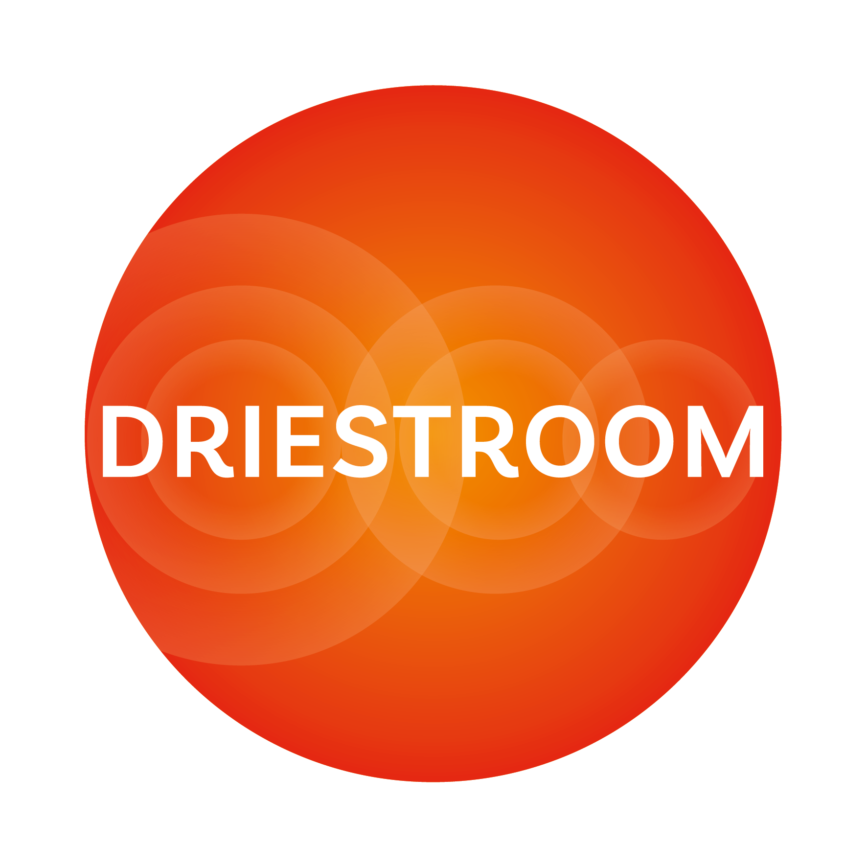 Logo van Driestroom – begeleiding om op eigen niveau en tempo mee te doen in de maatschappij.